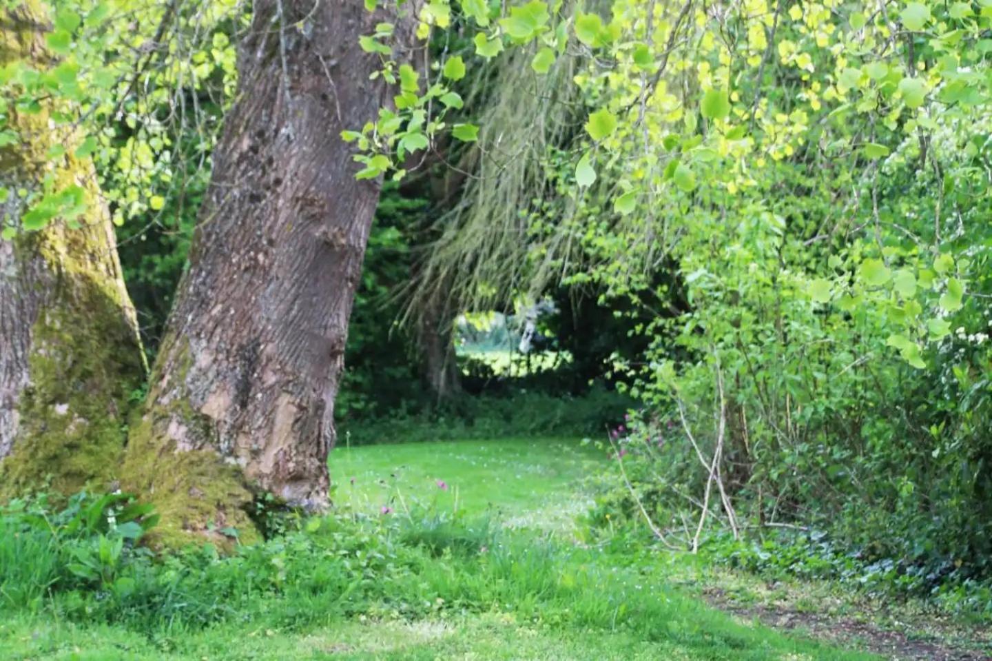 Charmant Cottage 8 Personnes En Normandie Cleuville Zewnętrze zdjęcie
