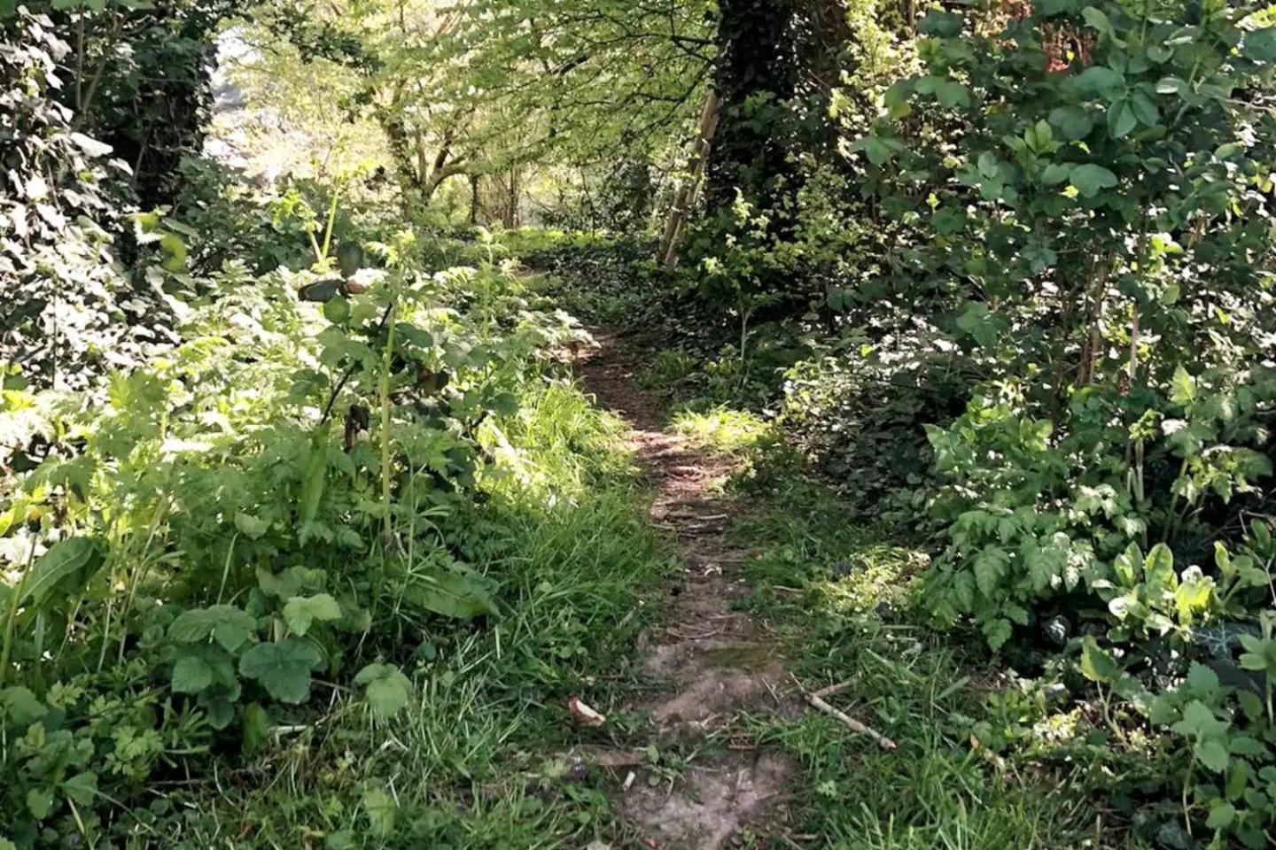 Charmant Cottage 8 Personnes En Normandie Cleuville Zewnętrze zdjęcie